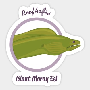 Giant Moray Eel Sticker